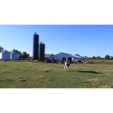 Animal Feed Magnesium for Dairy and Poultry
