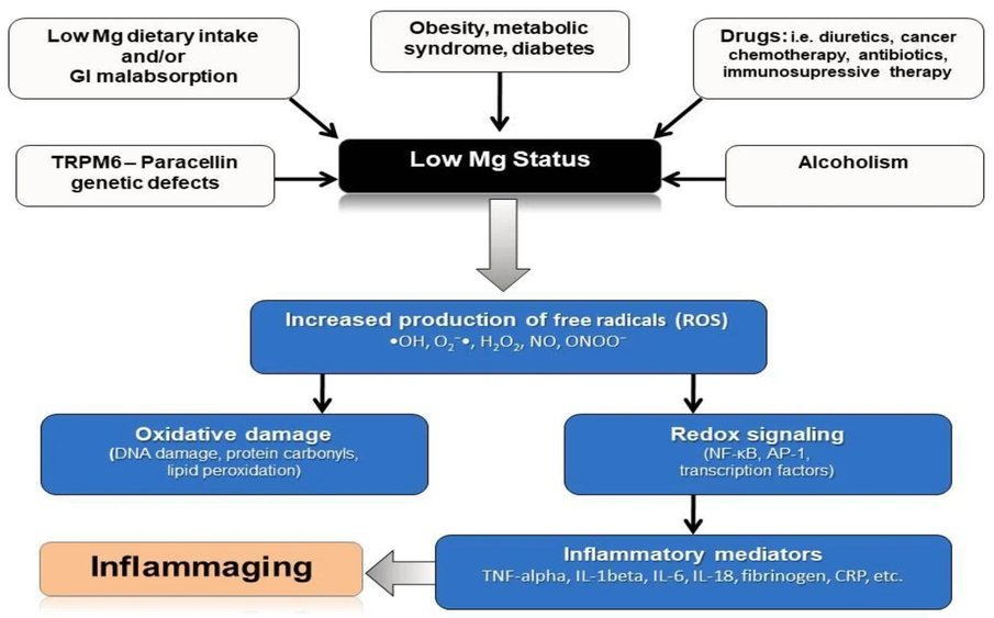 HOLY magnesia application scene