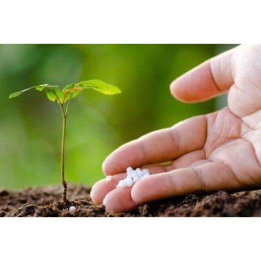 The effect of urea on plant growth