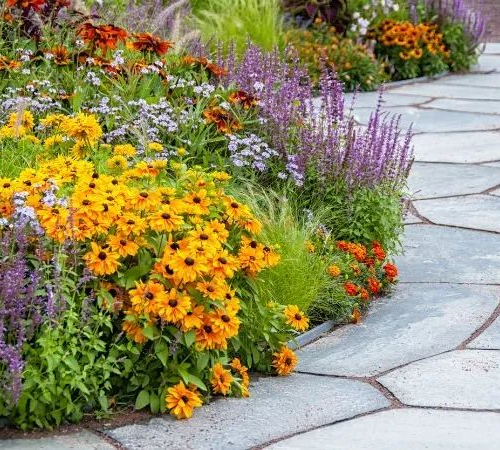 Dead Burned Magnesite and Caustic Calcined Magnesite