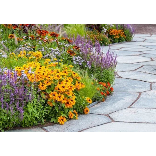 Dead Burned Magnesite and Caustic Calcined Magnesite