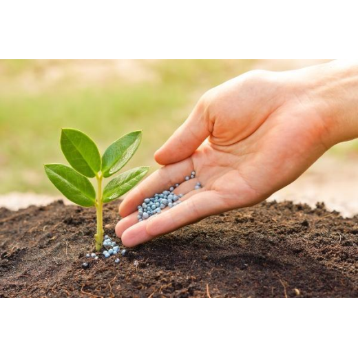 How to use granular organic fertilizer? Will granular organic fertilizer burn the roots? BY:Cynthia