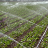 News about magnesium sulfate anhydrous and its impact on related industries   BY:Binny
