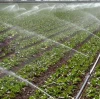 News about magnesium sulfate anhydrous and its impact on related industries   BY:Binny