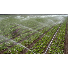 News about magnesium sulfate anhydrous and its impact on related industries   BY:Binny