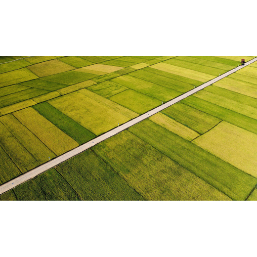 Global Zinc Deficiency Drives Zinc Sulphate Monohydrate Demand