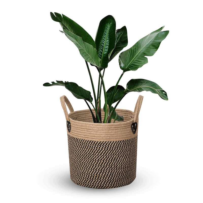 Multi-function Round Ins Style Cotton Rope Linen Plant Foldable Storage Basket With Handle