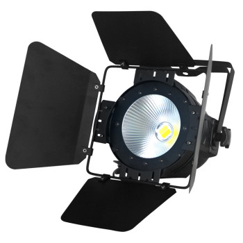 Indoor Stage Light LED COB 100W/200W PAR Can Light