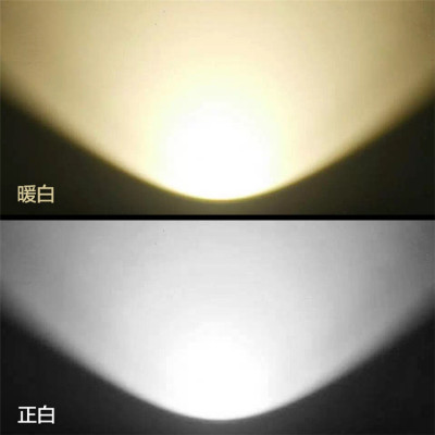 Indoor Stage Light LED COB 100W/200W PAR Can Light