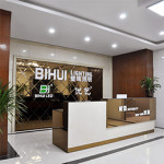 BIHUI LIGHTING TECHNOLOGY COMPANY