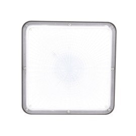 5 years warranty 100w industrial explosion proof LED Canopy Light for outdoor lighting