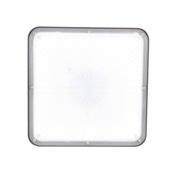 5 years warranty 100w industrial explosion proof LED Canopy Light for outdoor lighting