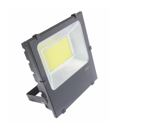 Industrial urban lighting  100w LED Flood light for outdoor lighting