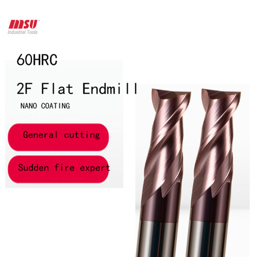HRC55-2F Carbide Square End Mill