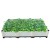 Big garden hydroponic grow system planter box 40x40x22cm