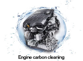 Diesel Carbon Cleaning