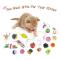 ZYZ PET Tunnel Bell Crinkle Balls  Feather Wand cat toy pack for puppy kitty