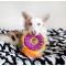 ZYZ PET Plush Ring Frisbee Interactive Pet Dog Interactive Toy
