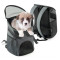 ZYZpet Outdoor Comfort Black Mesh Pet Dog Travel Cat Backpack Carrier Bag For Dogs Cats
