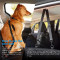 ZYZpet Waterproof Dog Car Seat Cover Nonslip Pet Seat Cover for Back Seat Mesh Visual Window