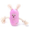 ZYZpet Cute Small Animal Dog Rope Toys Interactive Squeaky Chew Plush Pet Dog Toys