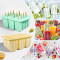 Food Grade Reusable Silicone Popsicle Mold with Lid and Wooden Stick DIY Ice Cream Mold