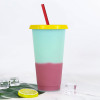 Temperature-sensing straw color-changing cup 710ml beverage temperature-sensing plastic straw cup pp color-changing straw water cup manufacturer