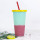 Temperature-sensing straw color-changing cup 710ml beverage temperature-sensing plastic straw cup pp color-changing straw water cup manufacturer