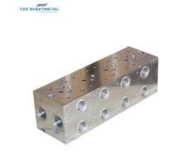 OEM Custom Percision CNC Machining Aluminum/Brass/SUS304 Hydraulic Manifold Manufacturer