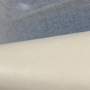 25gsm 100% Invisible Cupro Fibers Full Cross Spunlace Nonwoven For Jumbo Roll Natural Humectant Long Moisturizing