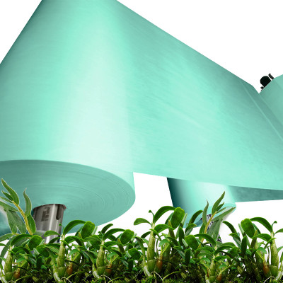 Green spunlace nonwoven fabric plant fibre dendrobium extract facial mask sheet material