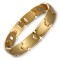Stamina 4 in 1 element stainless steel magnetic bracelet Gold