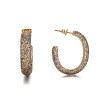 Gold mineral dust stainless steel gold earrings