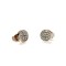 Gray Crystal Cubic Zirconia Stainless Steel Rose Gold Stud Earrings