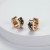 Rose Gold Crystal Cubic Zircon Stainless Steel Huggie Earrings