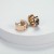Rose Gold Crystal Cubic Zircon Stainless Steel Huggie Earrings