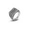 Reptile Style Antique Silver Etch Stainless Steel Ring