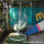 MiicoFun Transparent Garden Hanging Chair with Metal Stand-MF-HC-01