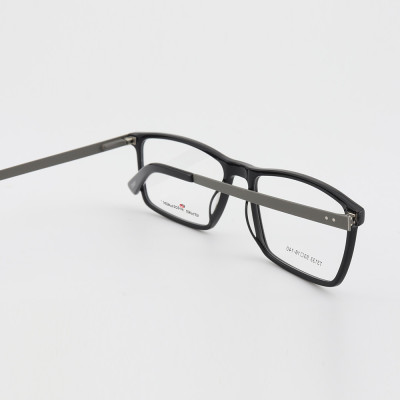 New arrival fashion design transparent Acetate spectacles Thin metal best quality optical glasses frames