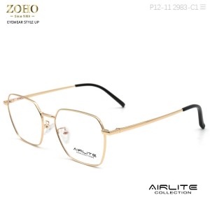 Retro Style Glasses Metal Optical Frame With TR Temple Tip for Unisex