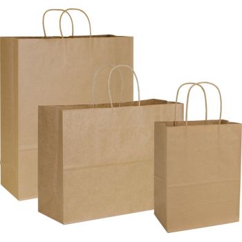 Retail Kraft Paper Packaging Recyclable Food Packaging Shopping Bag