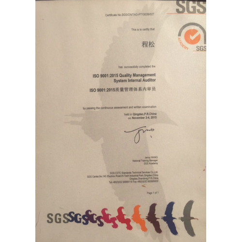 Interner Prüfer des Qualitätsmanagementsystems ISO 9001: 2015