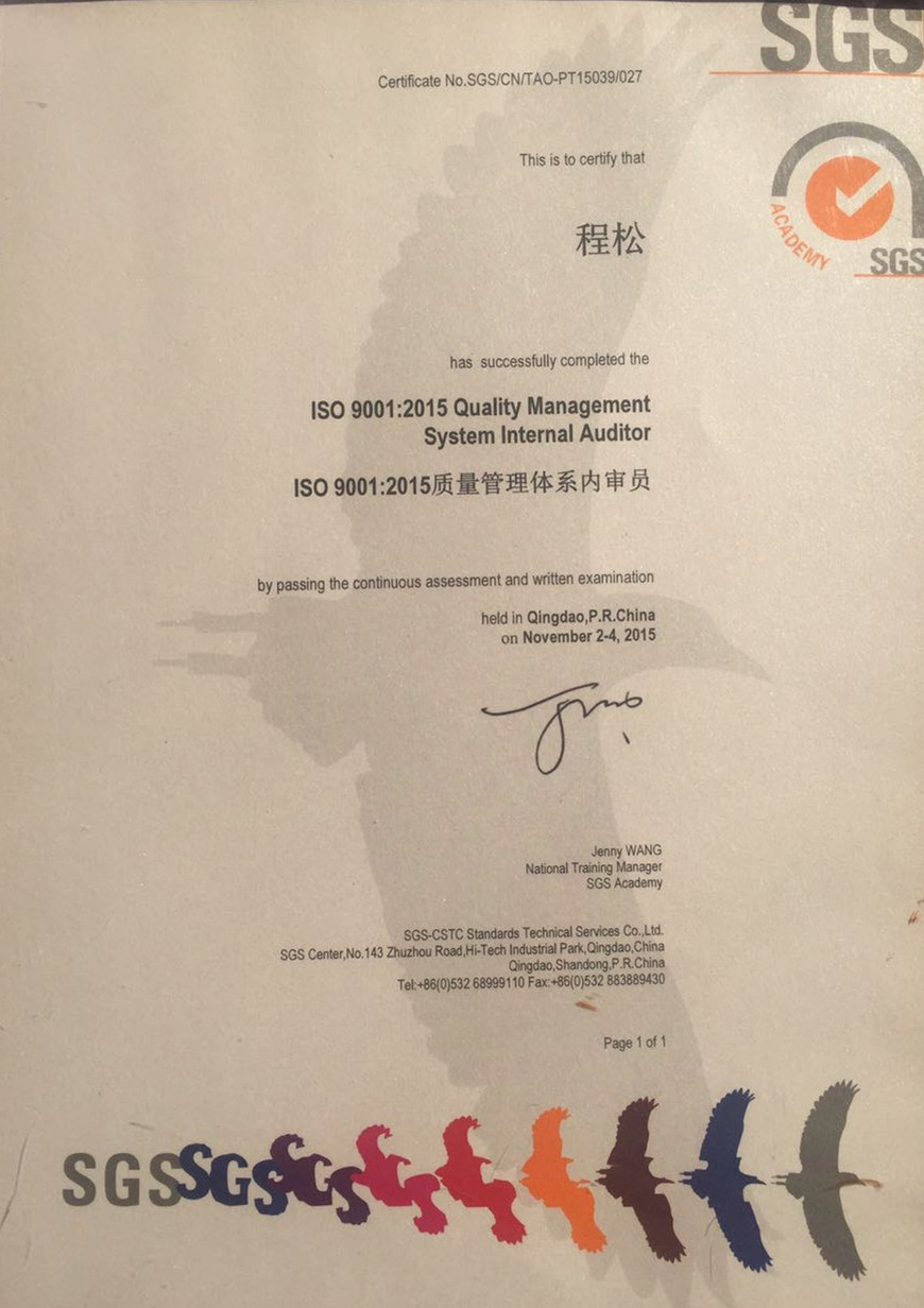 Interner Prüfer des Qualitätsmanagementsystems ISO 9001: 2015