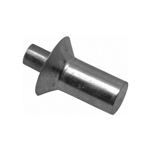 OEM High Precision Steel Cold Forging for Rivets Parts