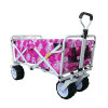 High Quality Garden Park Utility Kids Beach Wagon Folding Trolley-Cloudyoutdoor