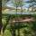Travel canvas camping cotton tree hammock swing hanging with wooden stick