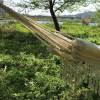 Outdoor garden hammock swing chair hanging camping