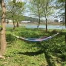 Outdoor portable adult hammock strap hanging chair swing