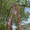 Red cotton kid garden beach hanging chair indoor hammock