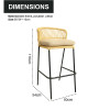 Outdoor Steel Modern Design Outdoor Garden Rattan Balcony Chair High Bar Chair with Rattan Furniture Single Rattan bar Chair